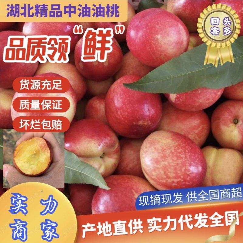 湖北金雷油桃曙光518中油产地一手货源量大从优电商市场