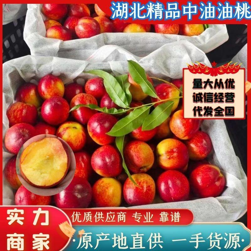湖北油桃/中油/金蕾曙光大量供应，对接市场，电商，欢迎来电