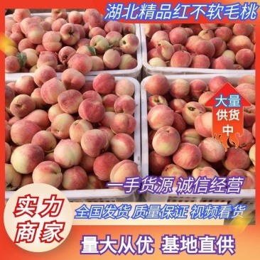湖北精品毛桃红不软桃产地直供量大从优供全国电商市场