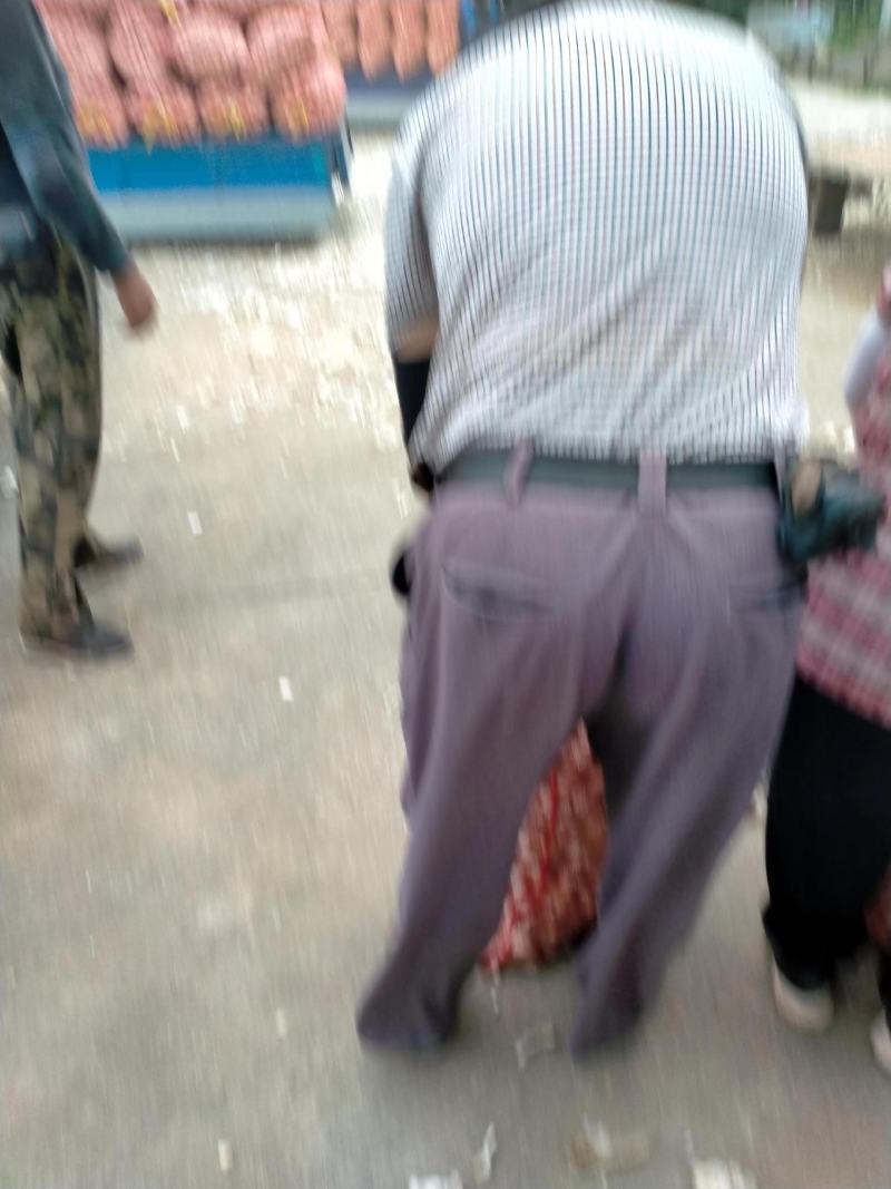 优质大蒜种子白皮蒜红根蒜品类齐全大量有货视频看货代发全国