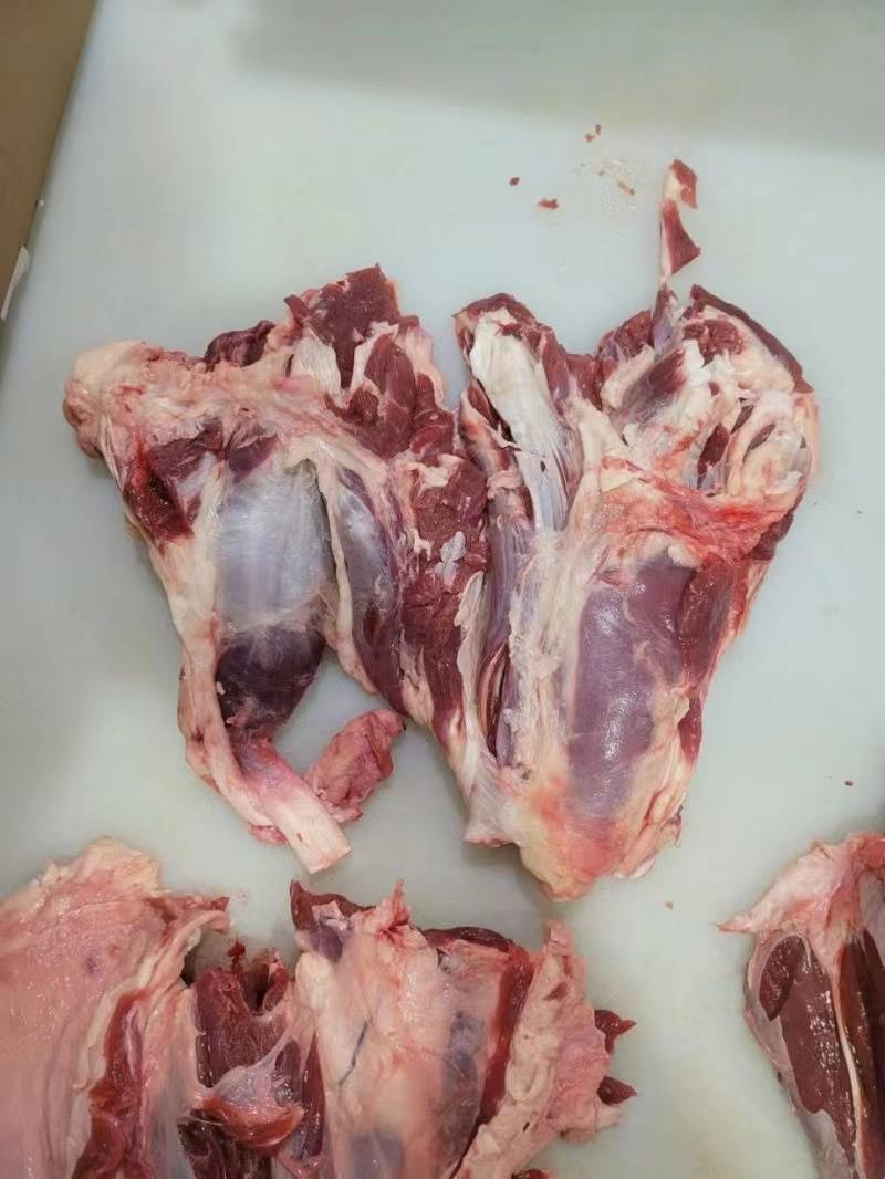 牛楠块牛腱子牛肉牛排牛鞭
