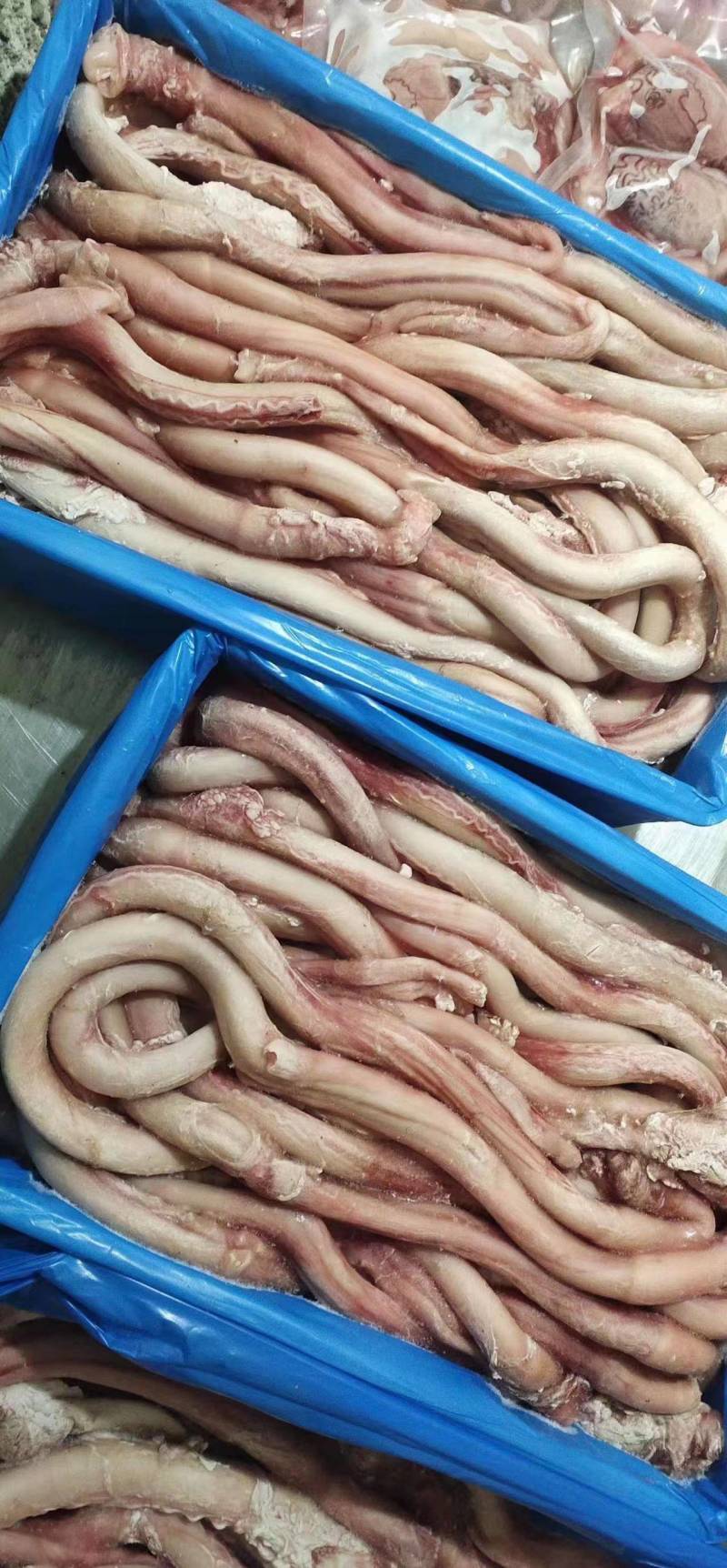 牛楠块牛腱子牛肉牛排牛鞭