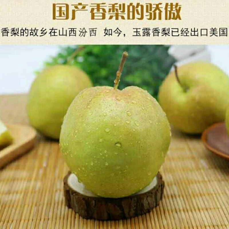 【玉露香梨】产地直发，专业一件代发抖音，天猫店铺，包售后