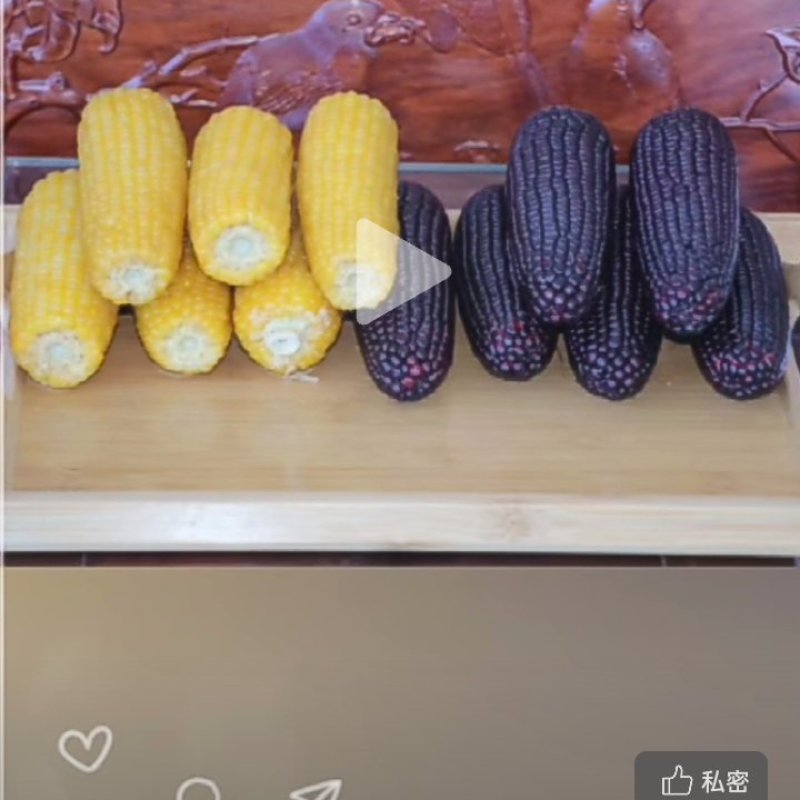内蒙古敖汉糯玉米，味甜而嫩，量大优惠，长年有货