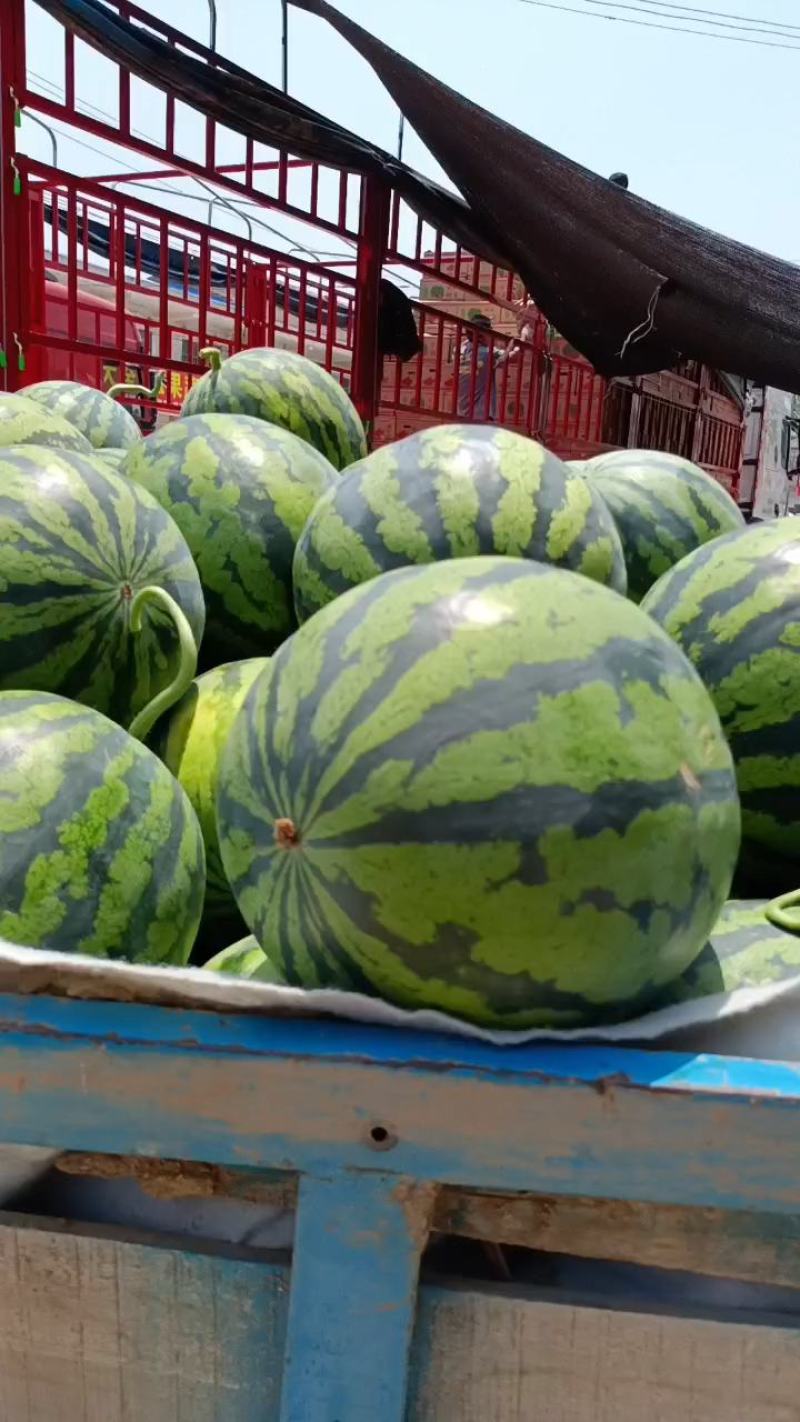 砀山甜王西瓜大量上货源充足，甜度高产地直发