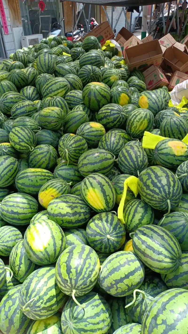 砀山甜王西瓜大量上货源充足，甜度高产地直发