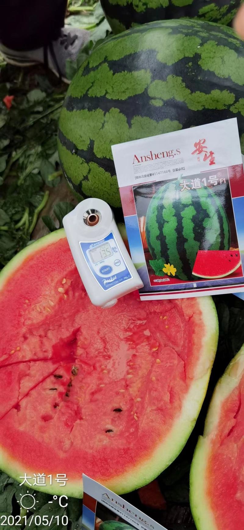 大量供应，安生康庄大道一号荣耀京瑞等西瓜