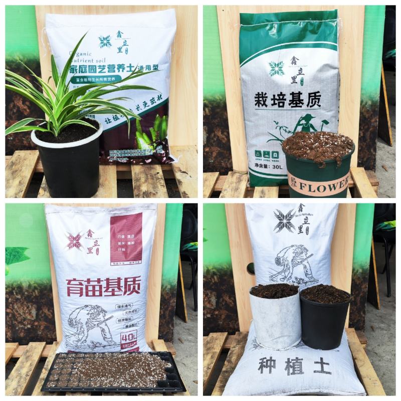育苗基质进口泥炭穴盘播种苗床扦插鑫立里