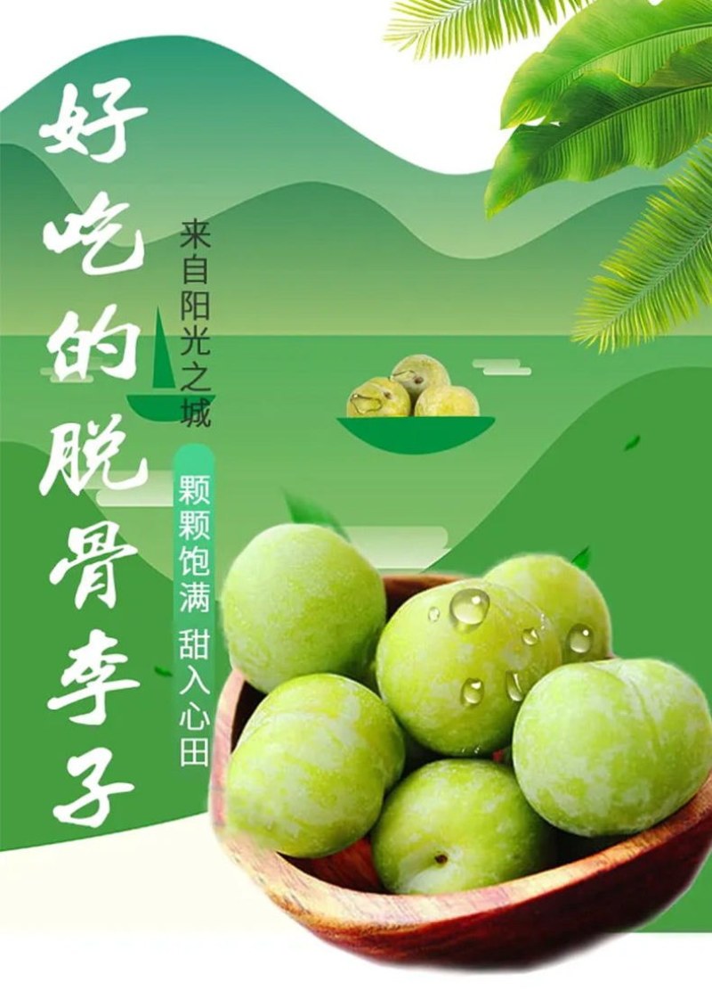 四川青脆李子大量上市脱骨李对接各大电商团购平台一条龙服务