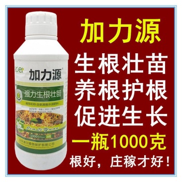 石榴树洋葱大蒜韭菜番茄花卉果树红薯西瓜辣椒生根剂叶面肥