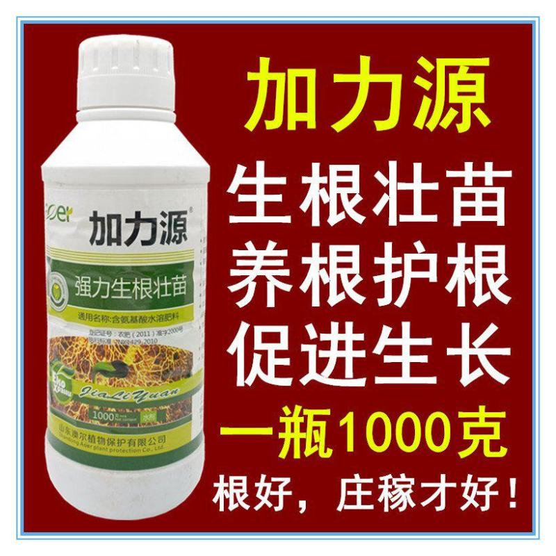石榴树洋葱大蒜韭菜番茄花卉果树红薯西瓜辣椒生根剂叶面肥