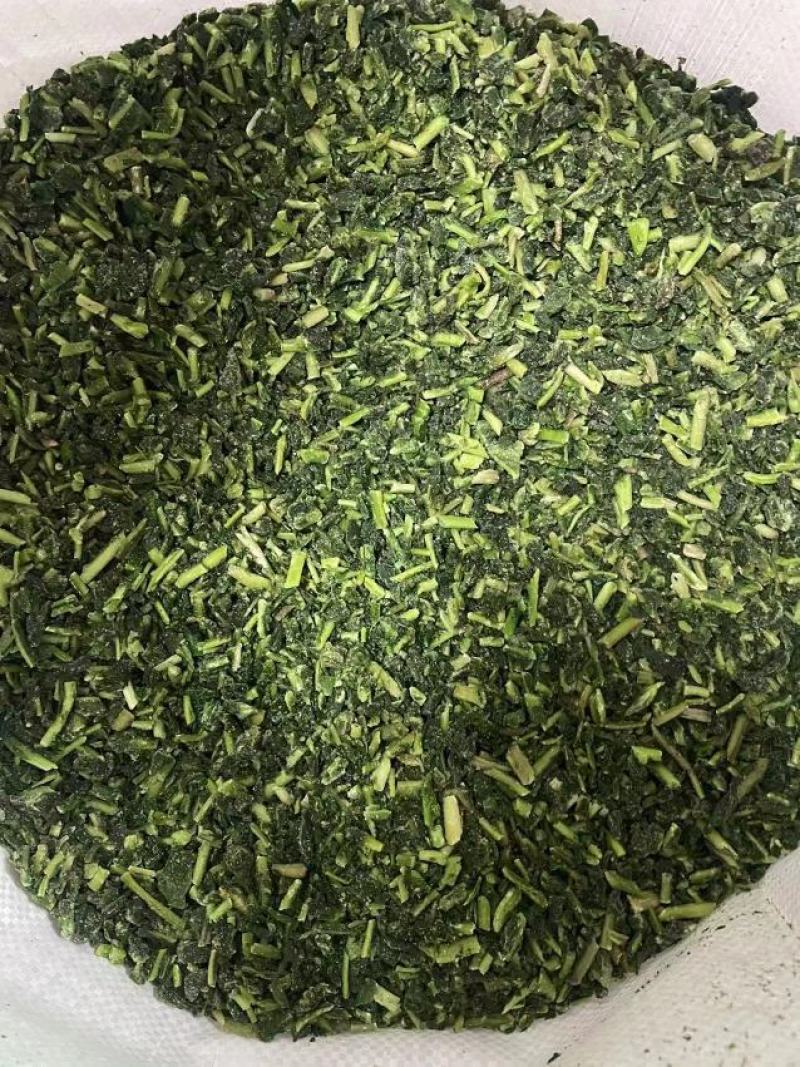 蒲公英婆婆丁碎的冷冻菜现挖加工批发做馅
