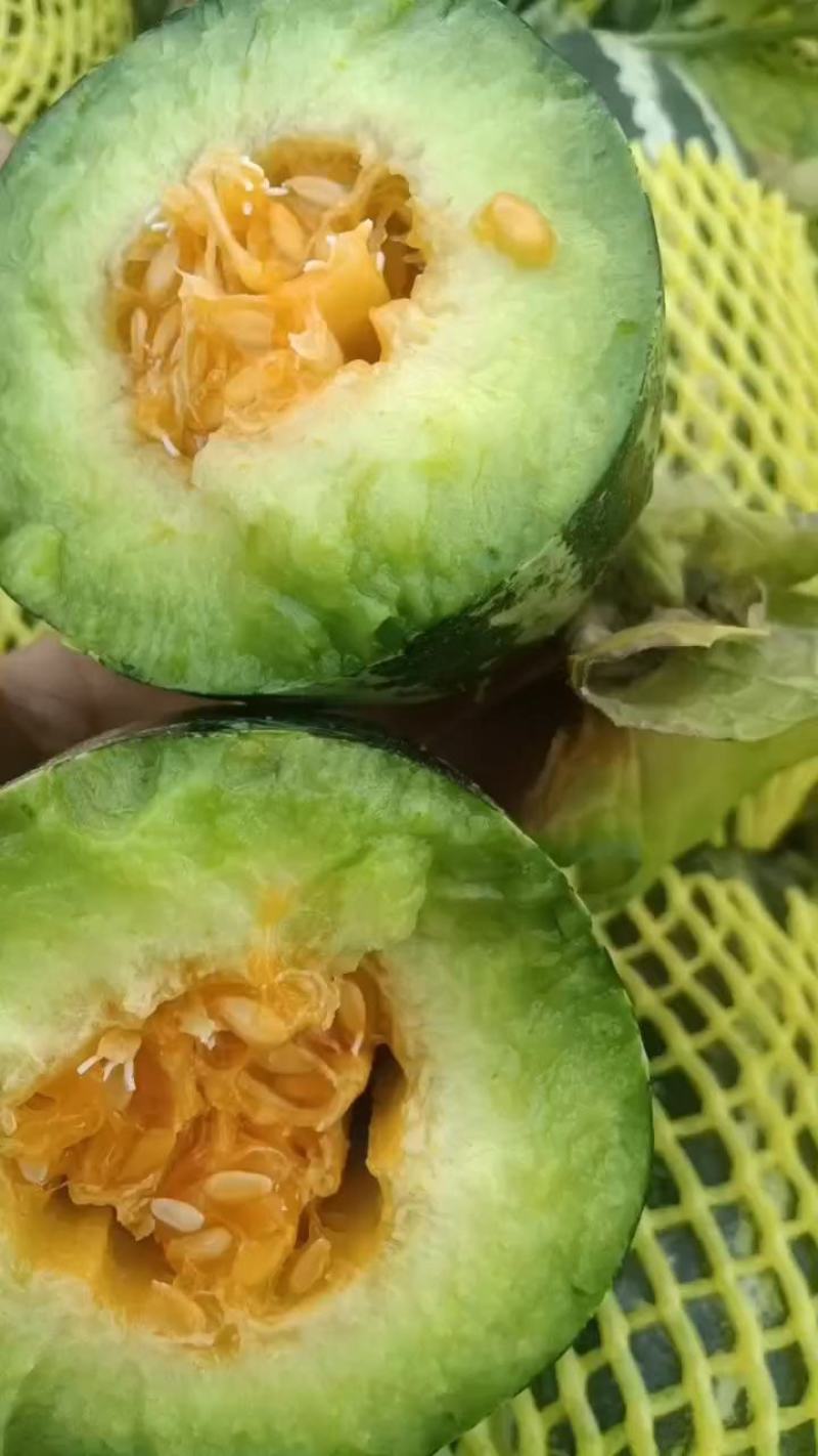博洋六，博洋九等甜瓜大量有货代发全国对接各大商超电商