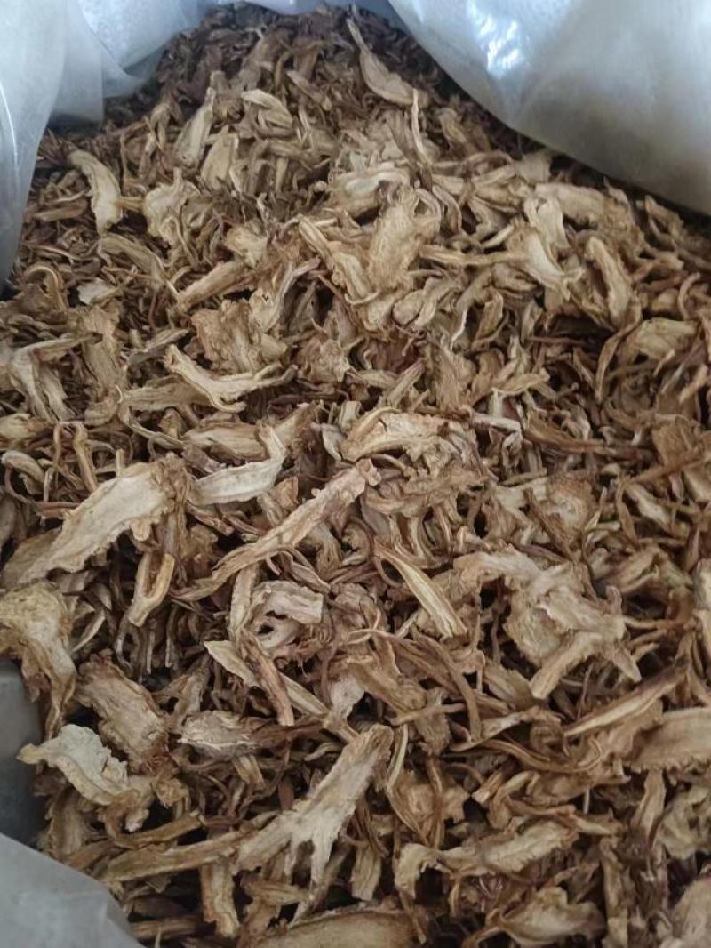 当归甘肃产地直发质量保证过筛现货24小时内发货