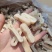 阿根廷鱿鱼，阿鱿原汁扁圈，品质保证，价格便宜，货源充足，