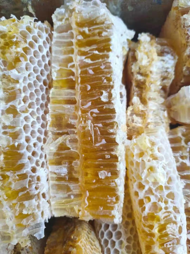 蜂巢蜜，自产自销，一手蜜源深山定点养殖，仅拿人工费一年一