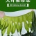 大连金石滩产地直供诚信经营价格优惠淡干裙带菜
