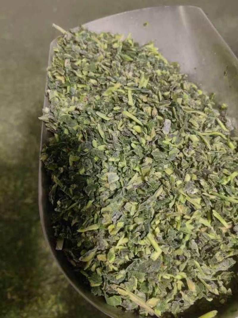 现挖加工蒲公英婆婆丁碎的冷冻菜批发做馅