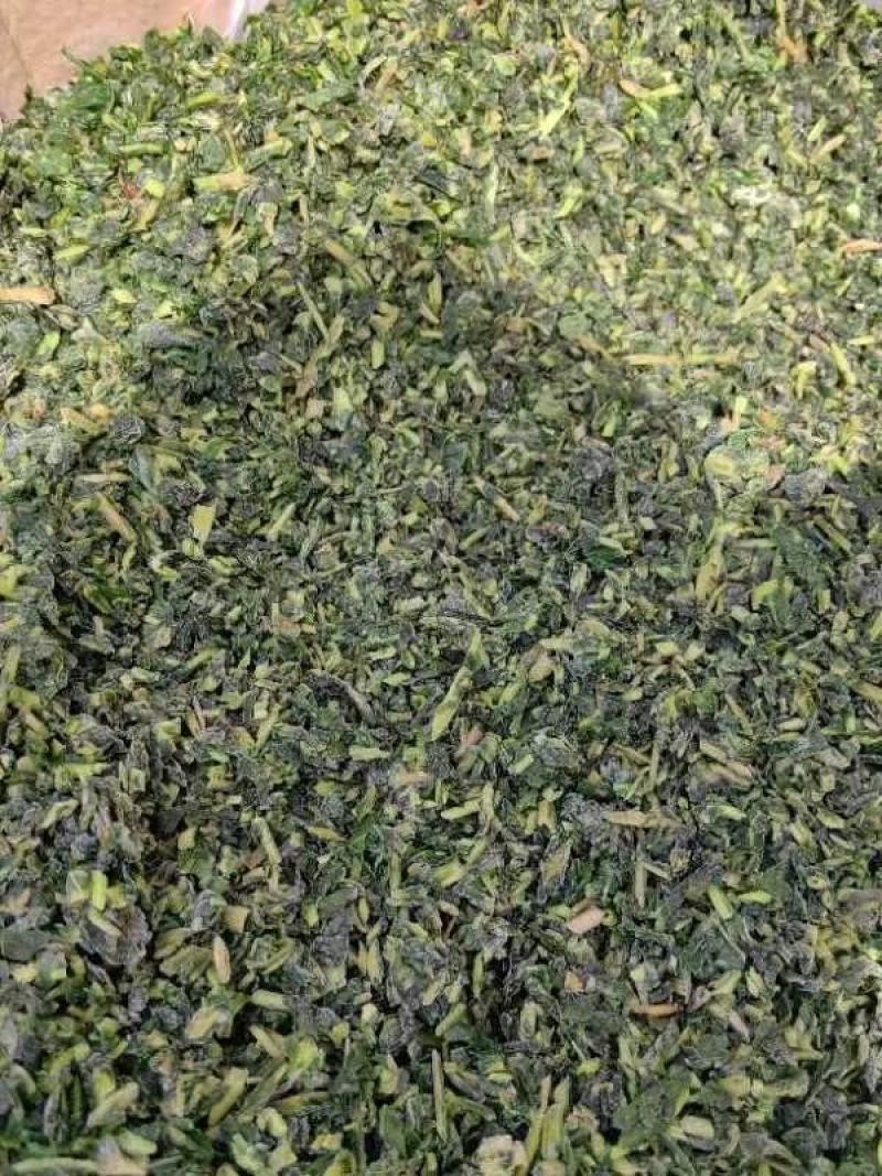 现挖加工蒲公英婆婆丁碎的冷冻菜批发做馅
