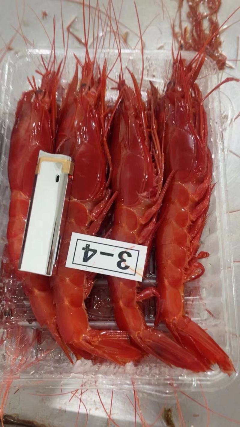 红魔虾