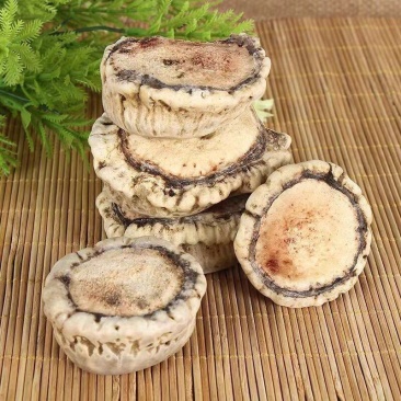鹿角帽梅花鹿角冒鹿托盘正品鹿角帽正品鹿角帽
