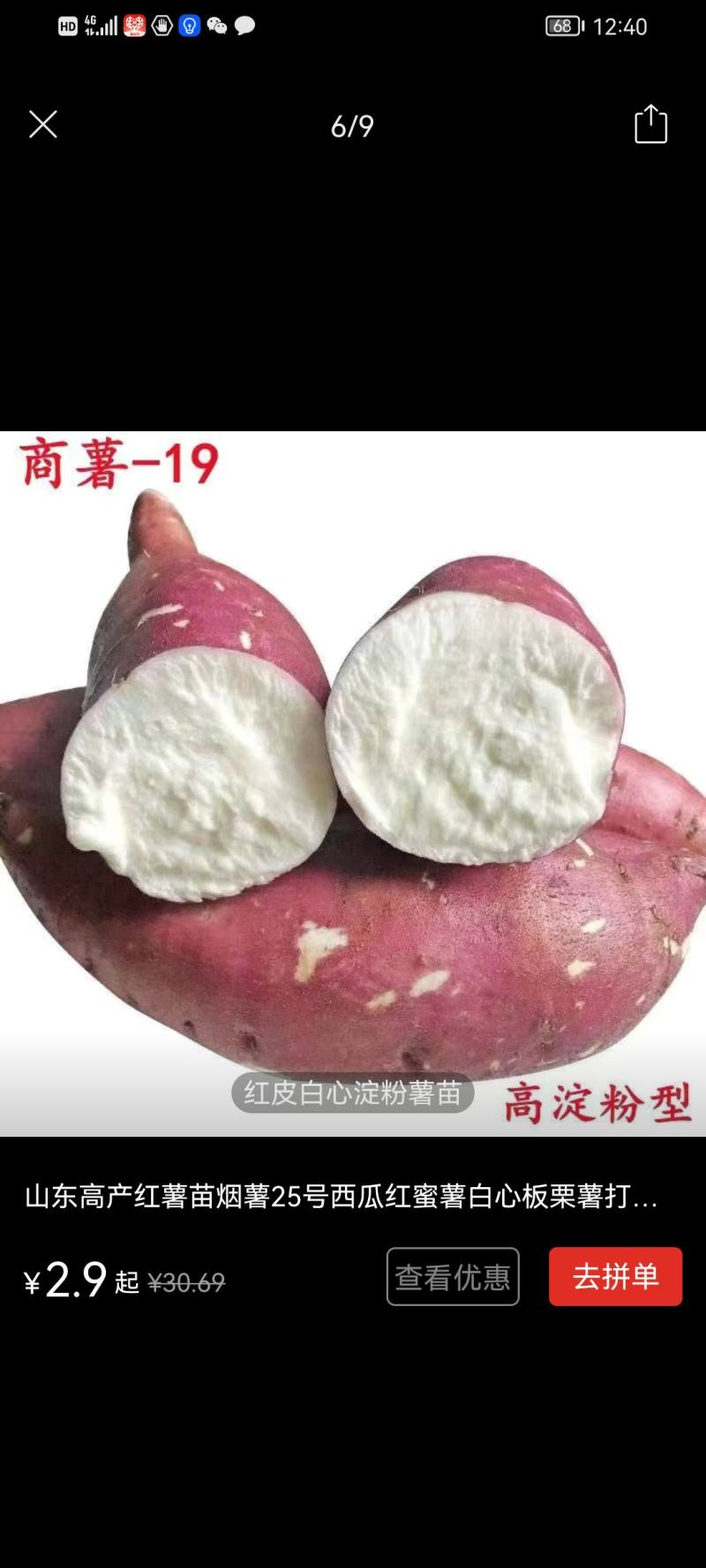 红薯苗白心黄心红心板栗薯苗口感纯正！品质保证