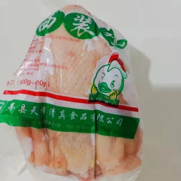 西装鸡三黄鸡817鸡直腿盘腿厂家直销诚信经营保证质量