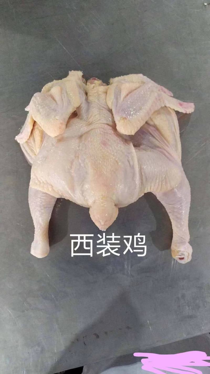 西装鸡三黄鸡817鸡直腿盘腿厂家直销诚信经营保证质量