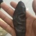 中药材清水吊杆水蛭蚂蟥水蛭干另有蜈蚣干蝎子免费磨粉