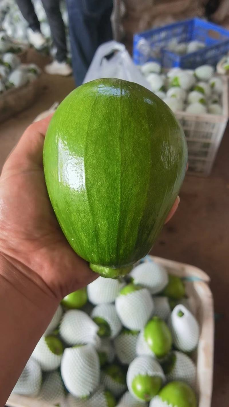 南瓜精品小嫩南瓜产地视频看货装货质量很好货源充足欢迎大订