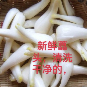 新品上市数量不多