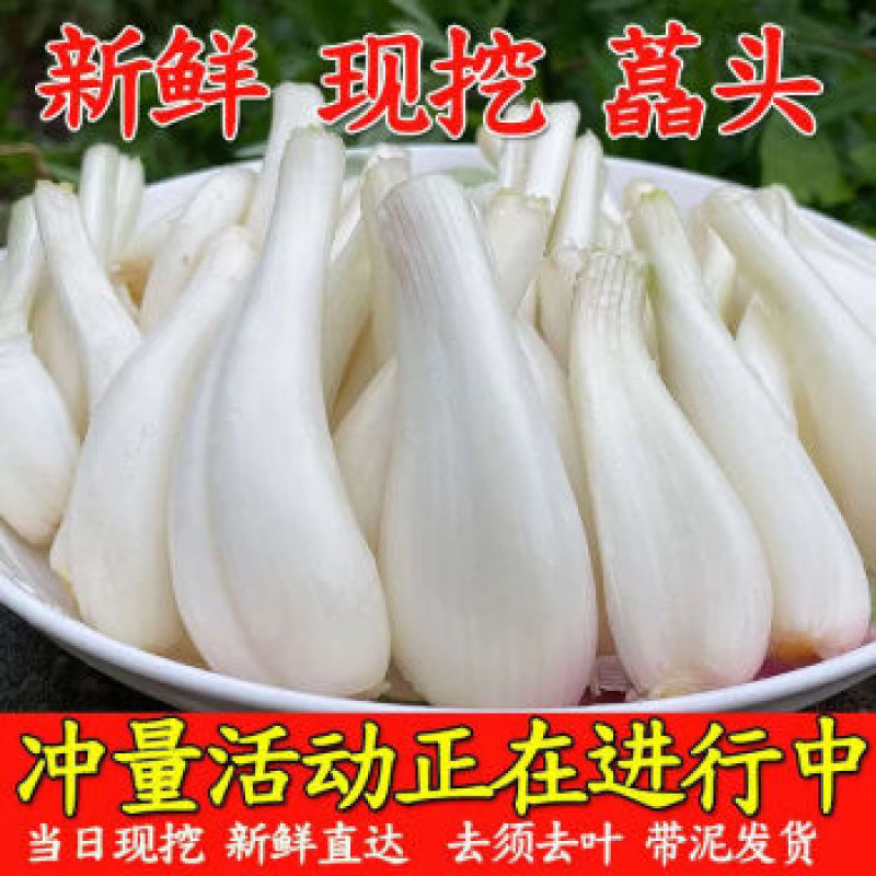 新品上市数量不多