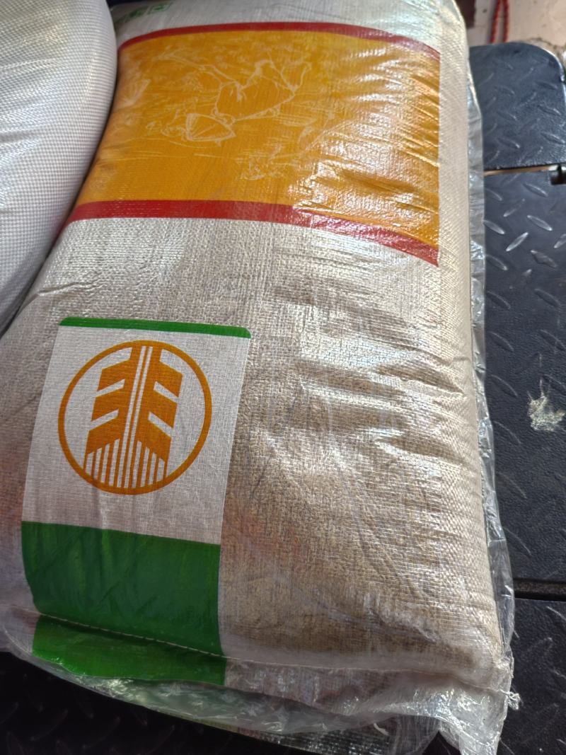 熟黄金亚麻籽，棕亚麻籽，地摊展会热卖一手货源