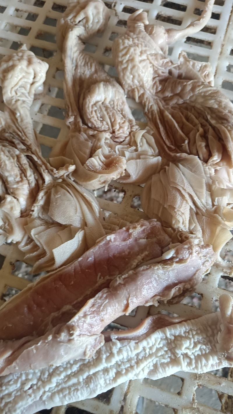 育肥羊熟小肚价格低可代替大肚