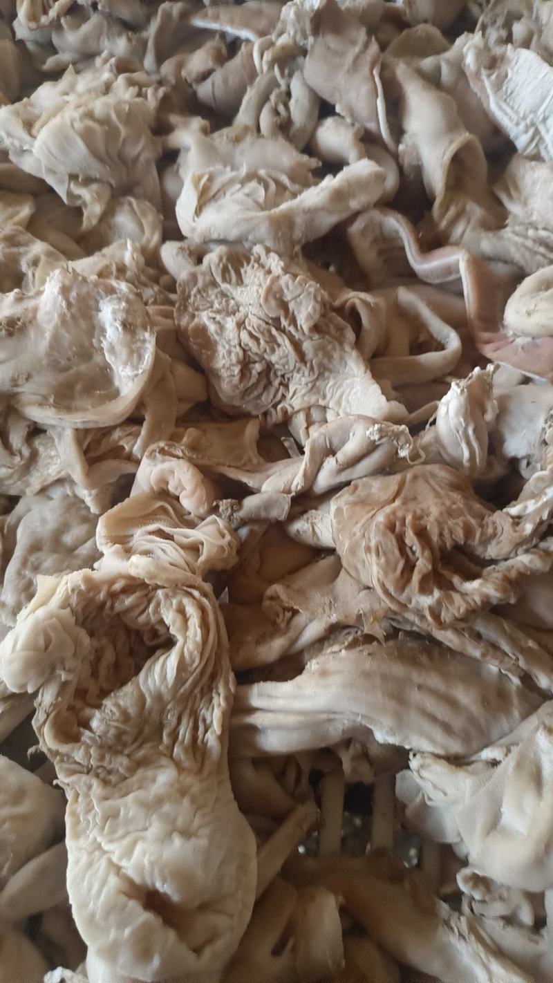 育肥羊熟小肚可代替大肚价格低羊汤馆使用