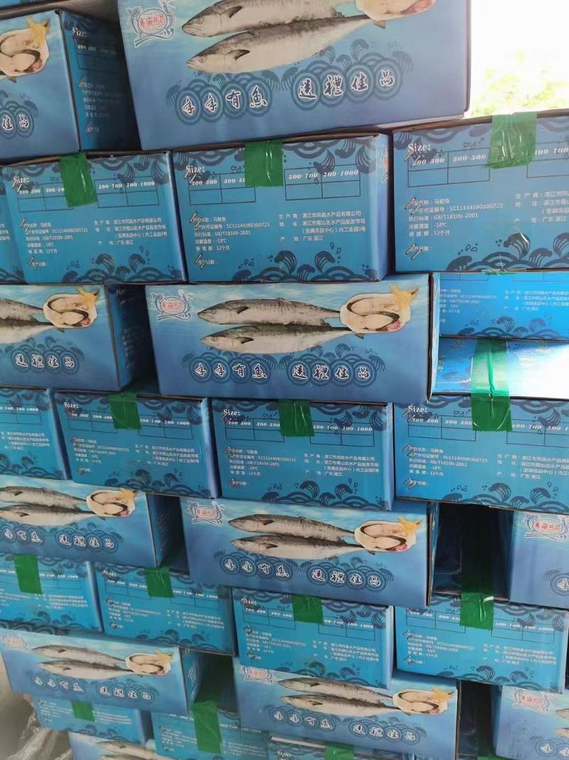 广东湛江马鲛鱼片鲅鱼竹鲛源头厂家大量供货欢迎来电