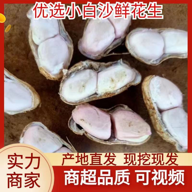 精品鲜花生，四粒红，小白沙，带壳鲜花生，产地批发商超市场