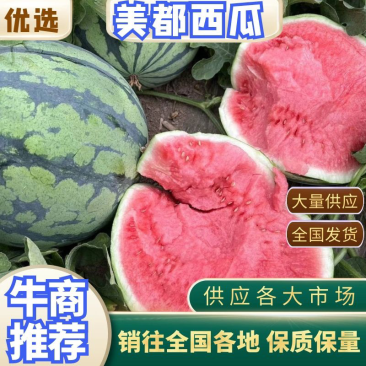 无籽美都西瓜电商批发质量三包一手货源价格便宜