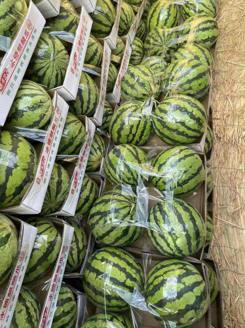 8424西瓜/西瓜湖北西瓜宜城西瓜全国发货