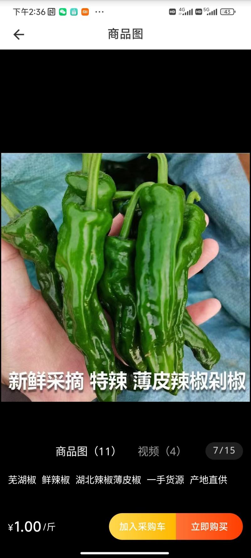 芜湖椒辣椒湖北精品辣椒看货论价保质保量