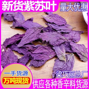 批发中药材紫苏紫苏叶干紫苏叶煲汤炒菜去腥紫苏叶子