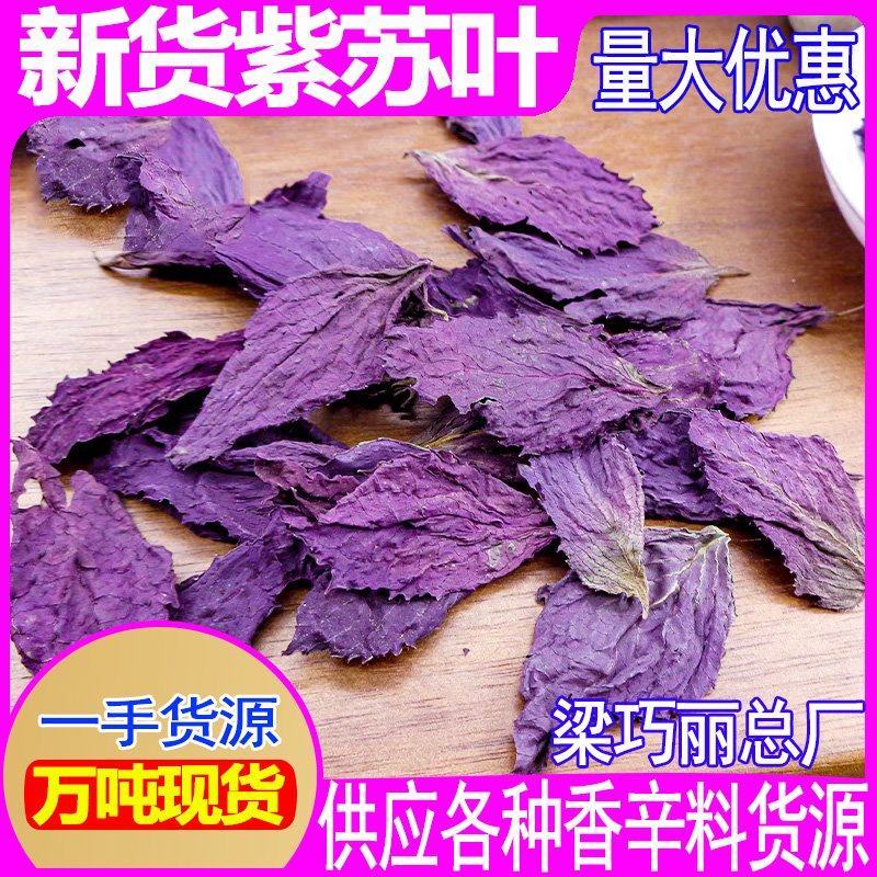 批发中药材紫苏紫苏叶干紫苏叶煲汤炒菜去腥紫苏叶子