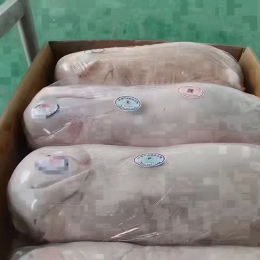 烤乳猪