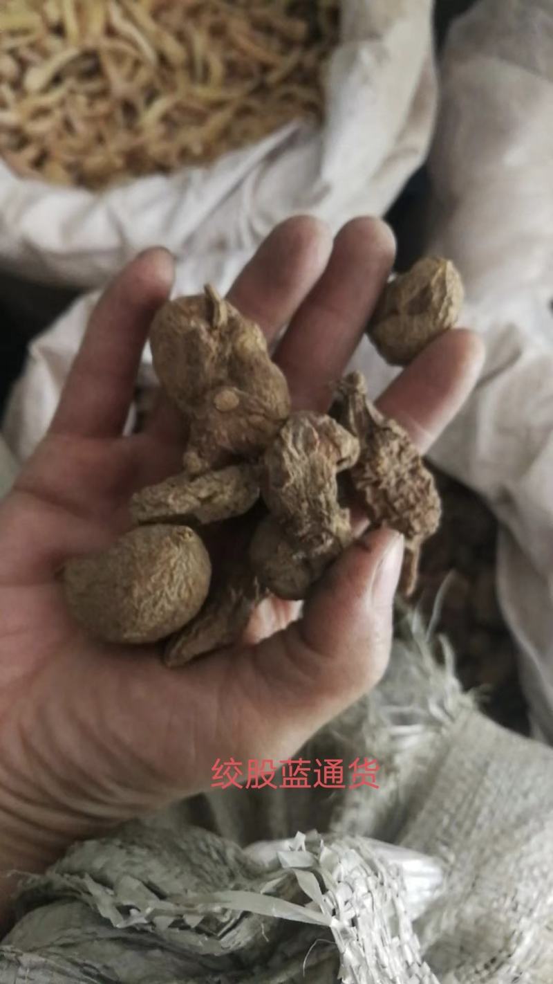 金果榄品质好个子切片量大从优