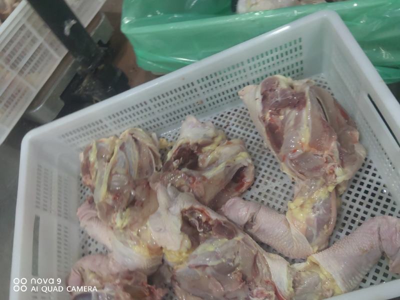 精品鸡架，老鸡鸡架，全架，产地直发货源充足