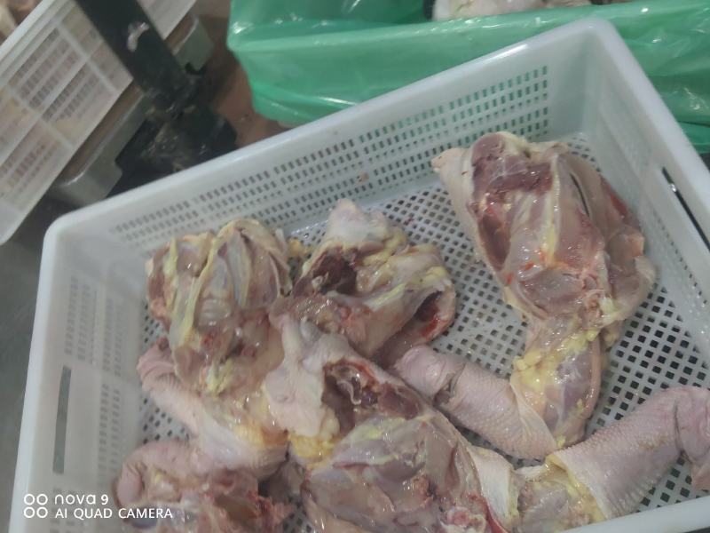 精品鸡架，老鸡鸡架，全架，产地直发货源充足