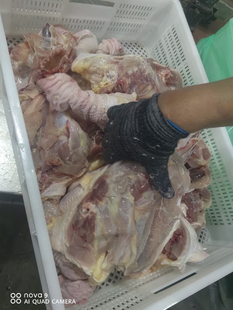 精品鸡架，老鸡鸡架，全架，产地直发货源充足