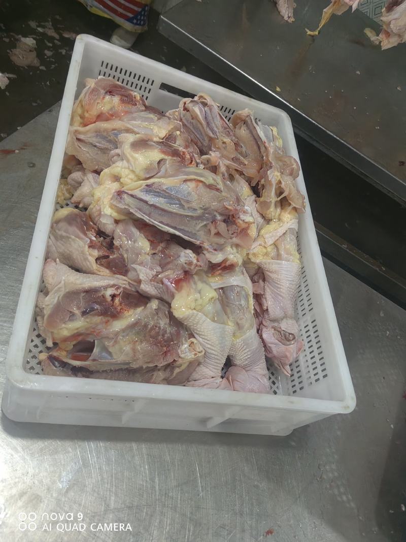 精品鸡架，老鸡鸡架，全架，产地直发货源充足