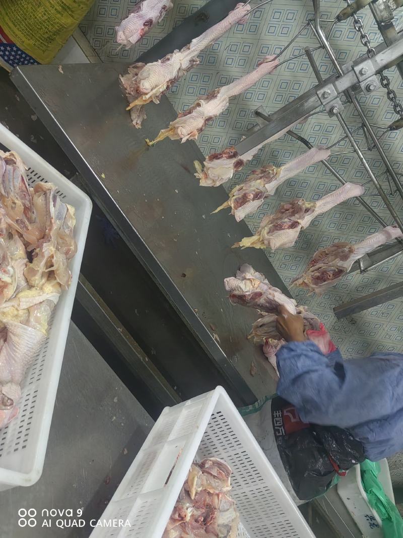 精品鸡架，老鸡鸡架，全架，产地直发货源充足
