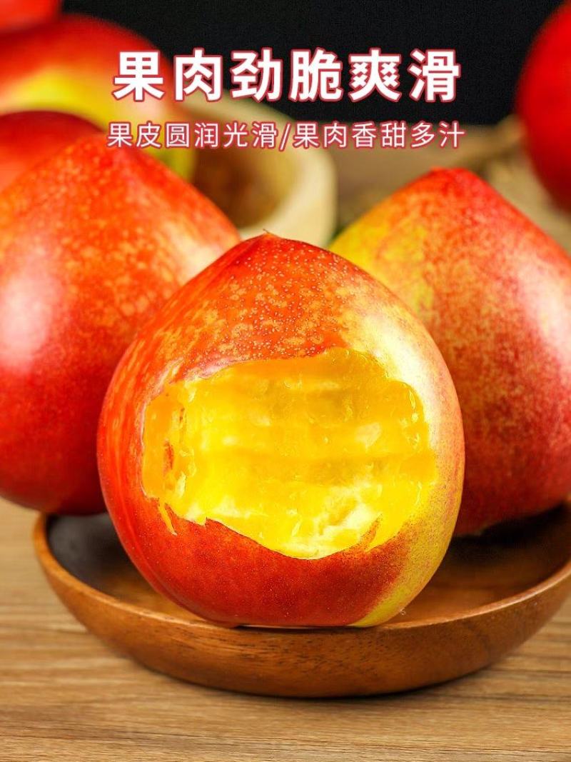 黄油桃产地看货论价保质保量欢迎订购